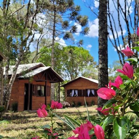Cabanas Dos Pinheiros São Francisco de Paula 외부 사진