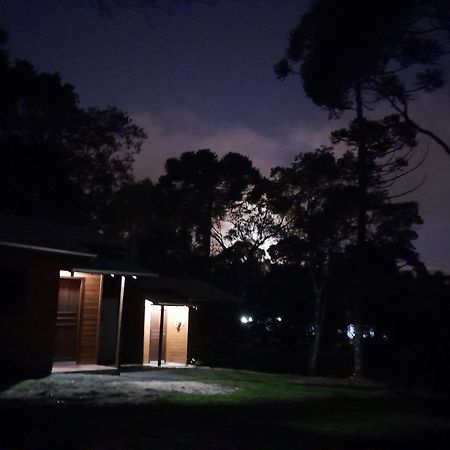 Cabanas Dos Pinheiros São Francisco de Paula 객실 사진