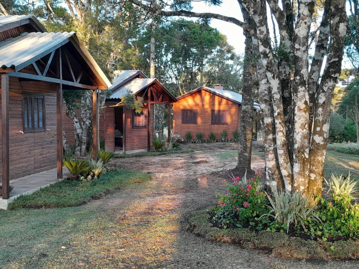 Cabanas Dos Pinheiros São Francisco de Paula 외부 사진