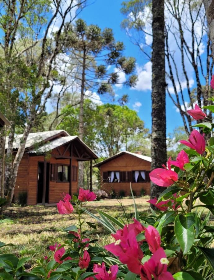 Cabanas Dos Pinheiros São Francisco de Paula 외부 사진