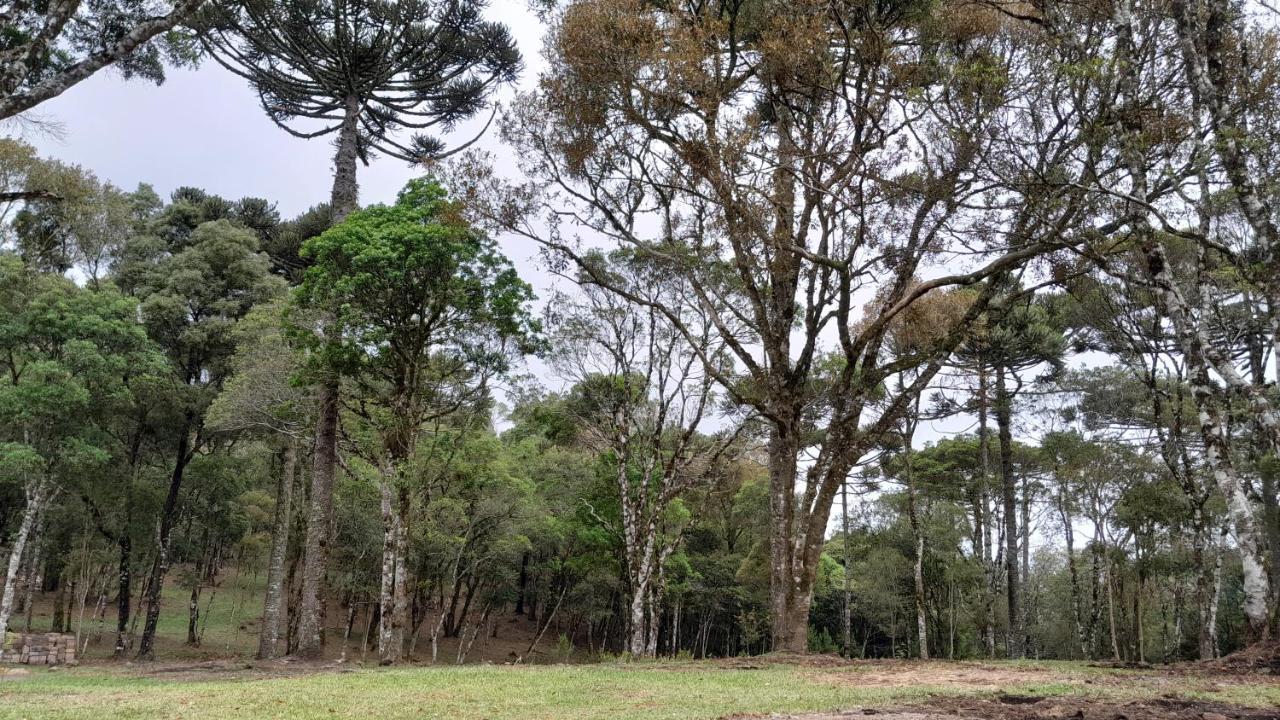 Cabanas Dos Pinheiros São Francisco de Paula 외부 사진