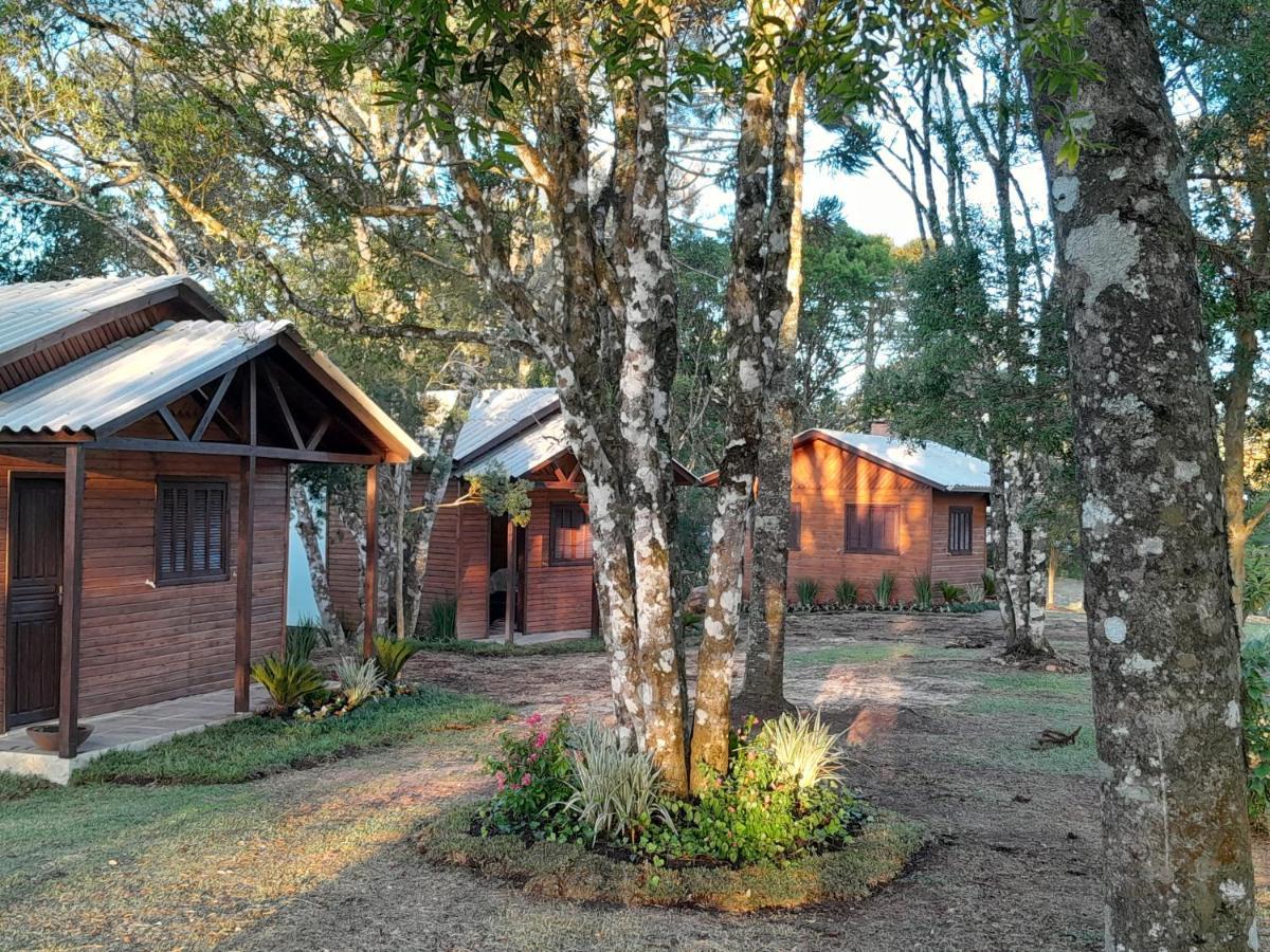 Cabanas Dos Pinheiros São Francisco de Paula 외부 사진