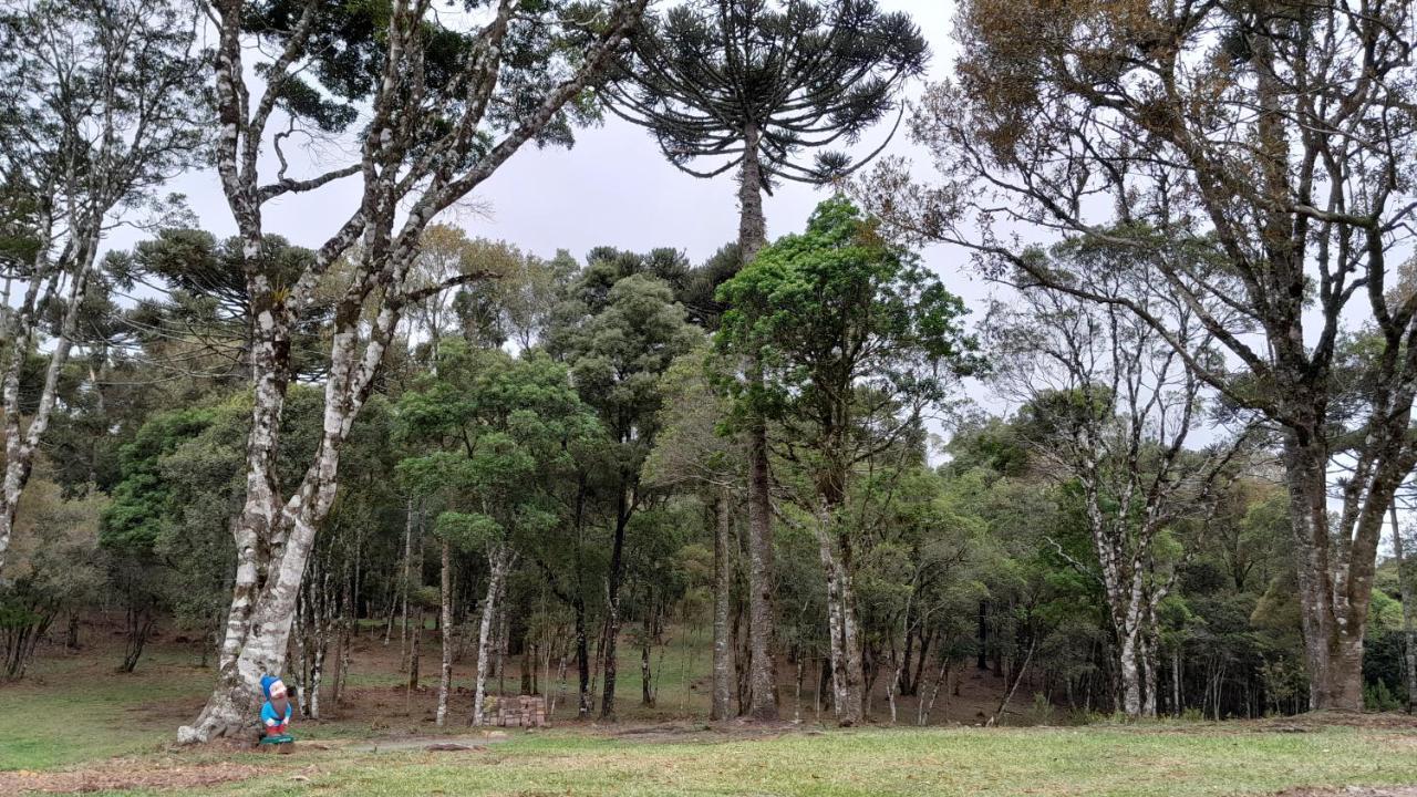 Cabanas Dos Pinheiros São Francisco de Paula 외부 사진