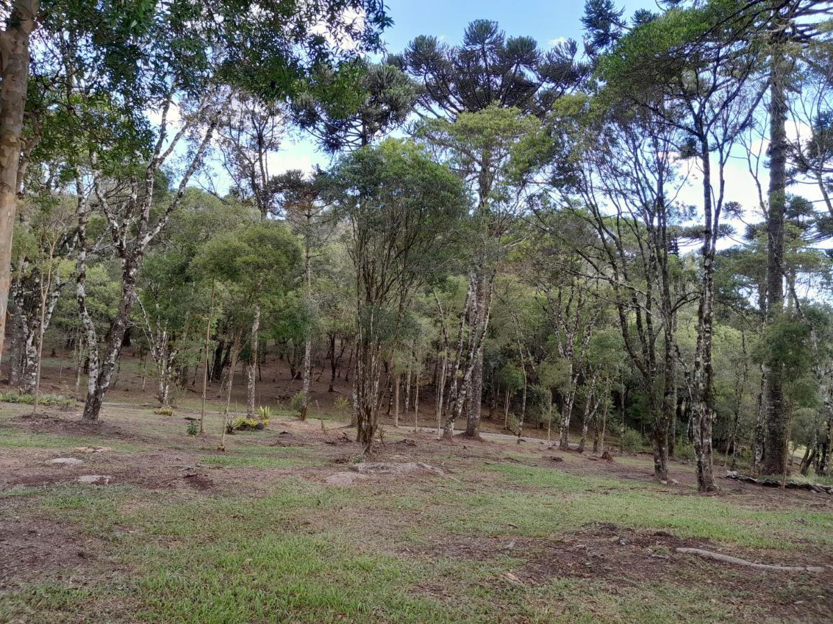 Cabanas Dos Pinheiros São Francisco de Paula 외부 사진