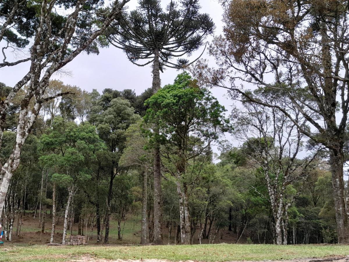 Cabanas Dos Pinheiros São Francisco de Paula 외부 사진