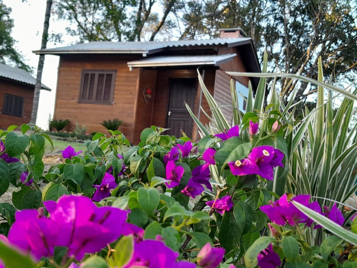 Cabanas Dos Pinheiros São Francisco de Paula 외부 사진