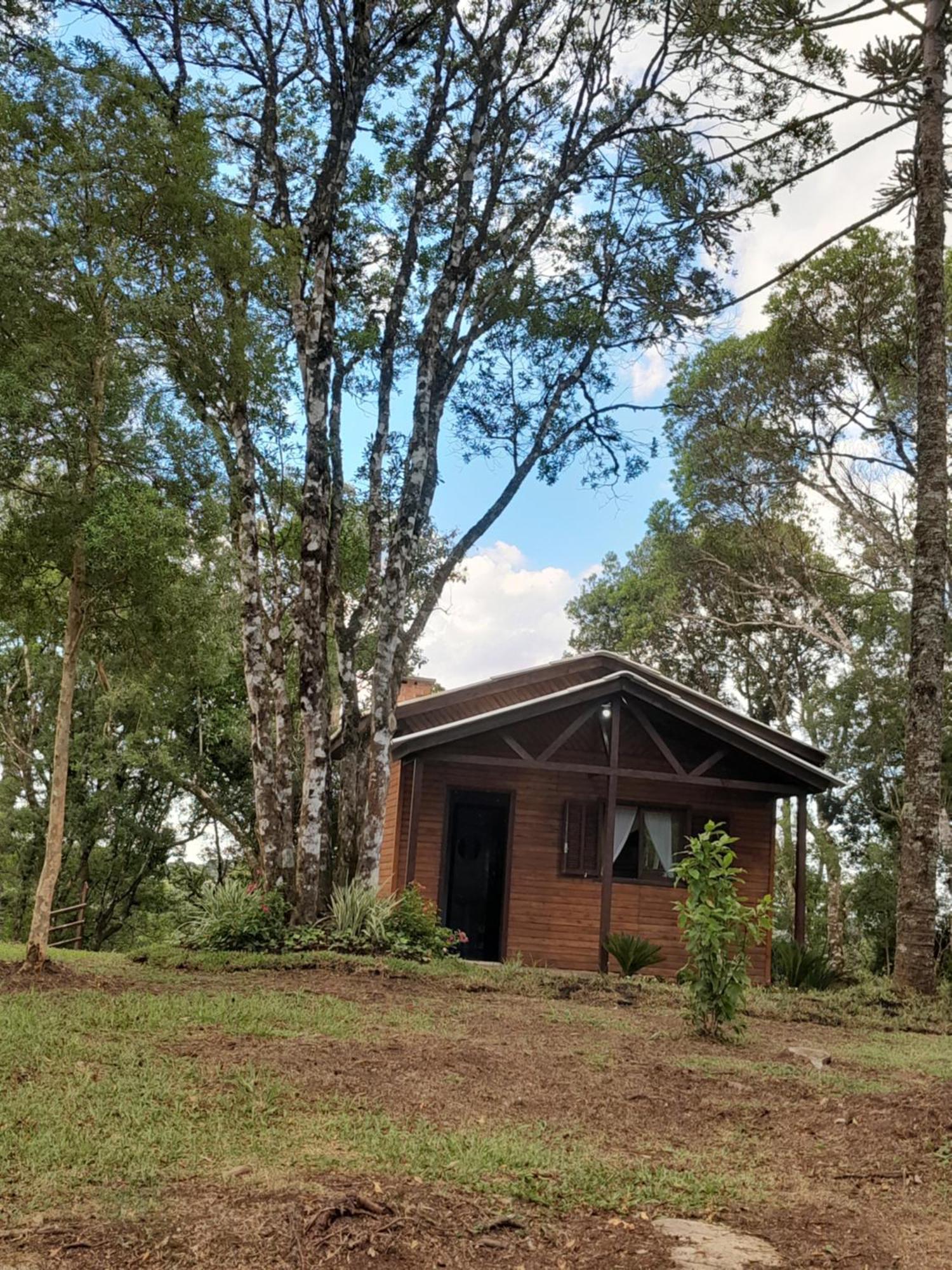 Cabanas Dos Pinheiros São Francisco de Paula 객실 사진