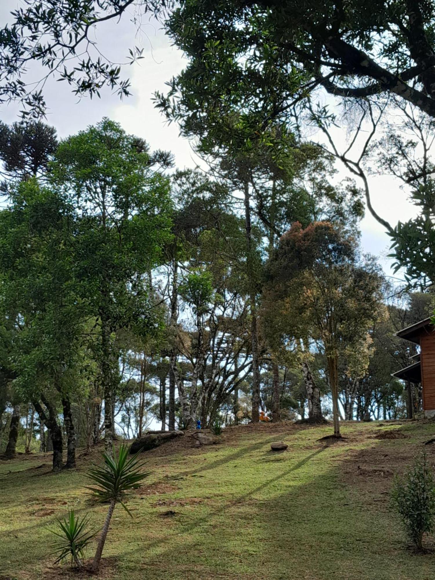 Cabanas Dos Pinheiros São Francisco de Paula 객실 사진