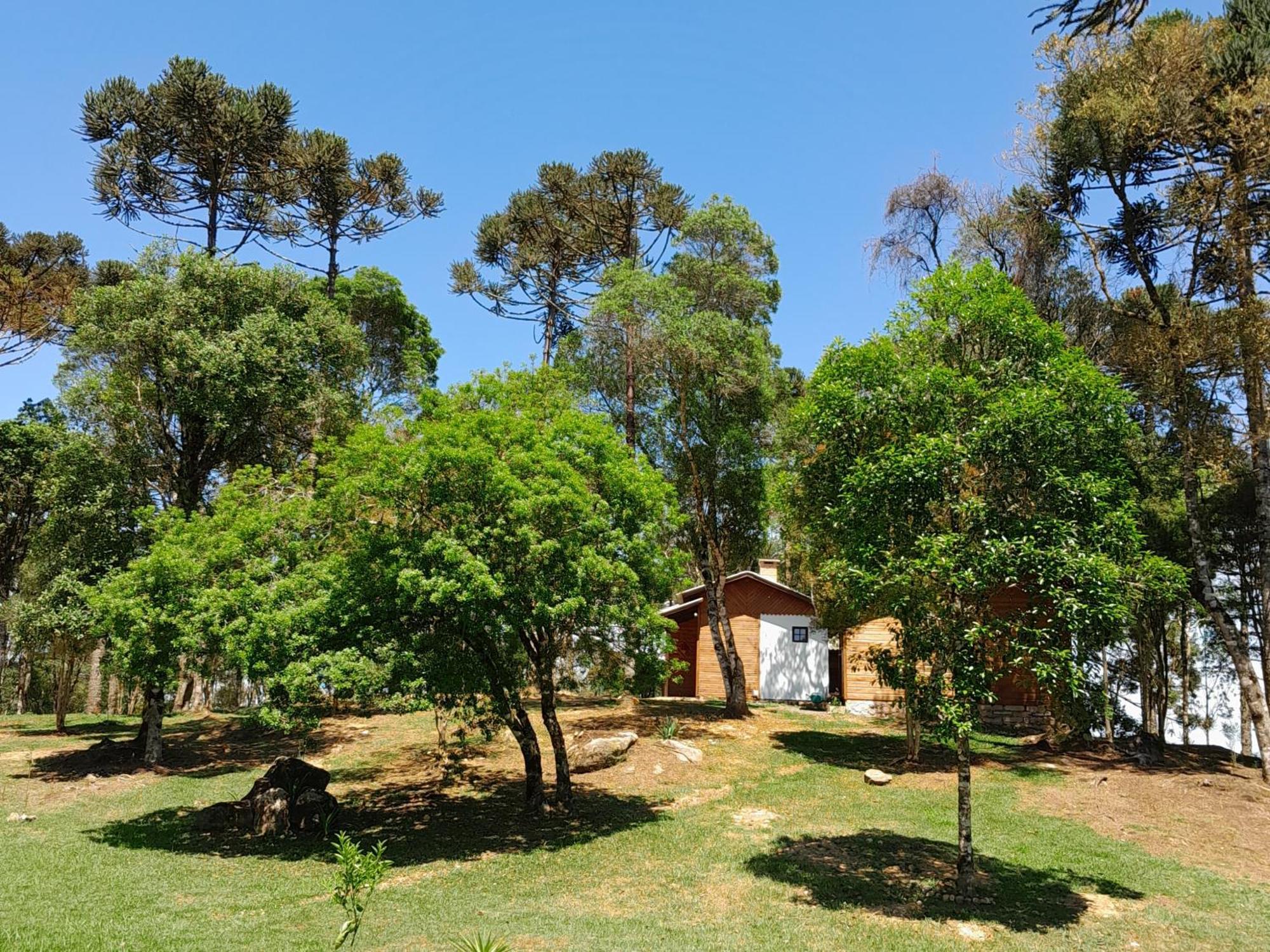 Cabanas Dos Pinheiros São Francisco de Paula 객실 사진