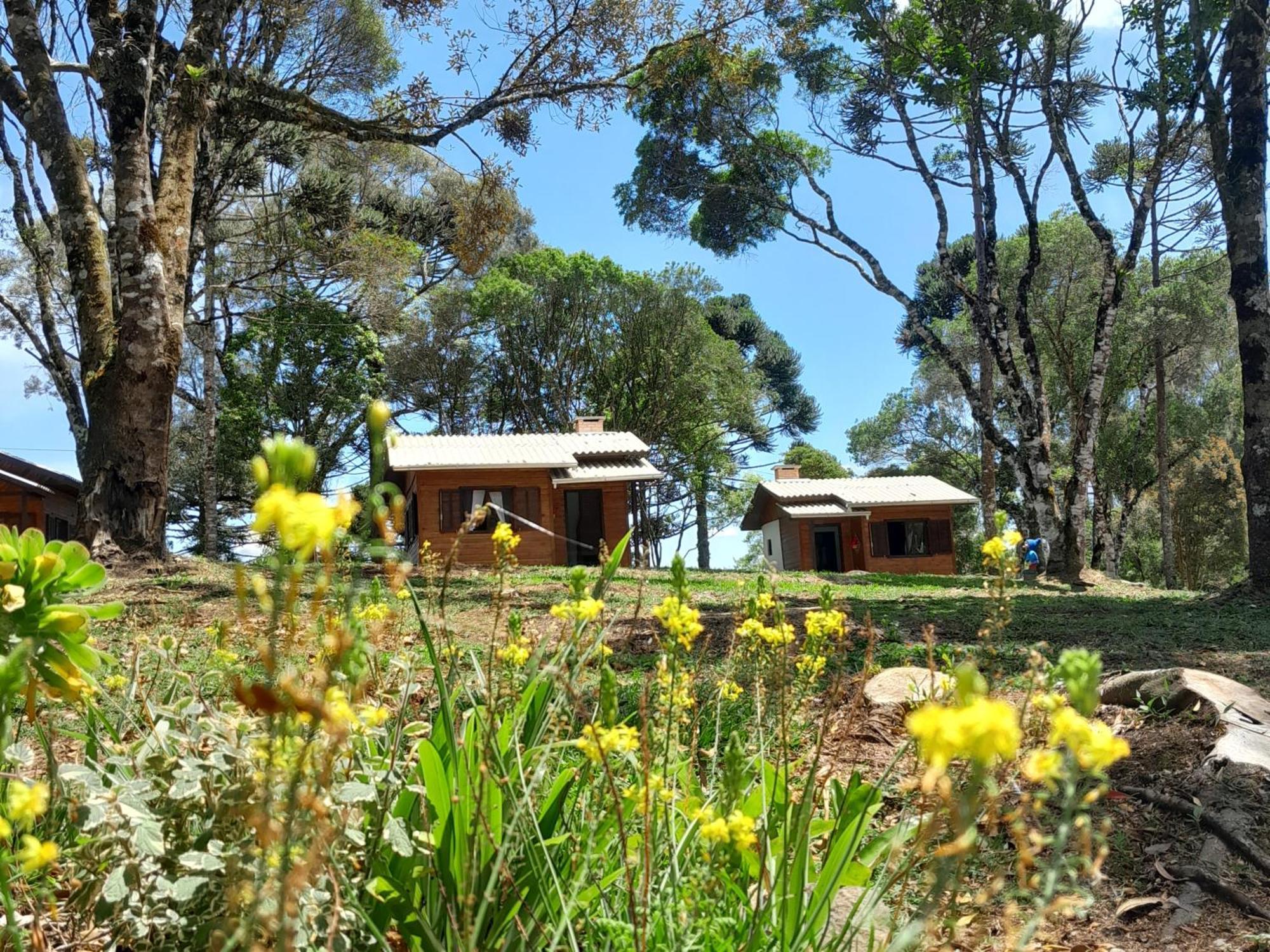 Cabanas Dos Pinheiros São Francisco de Paula 객실 사진