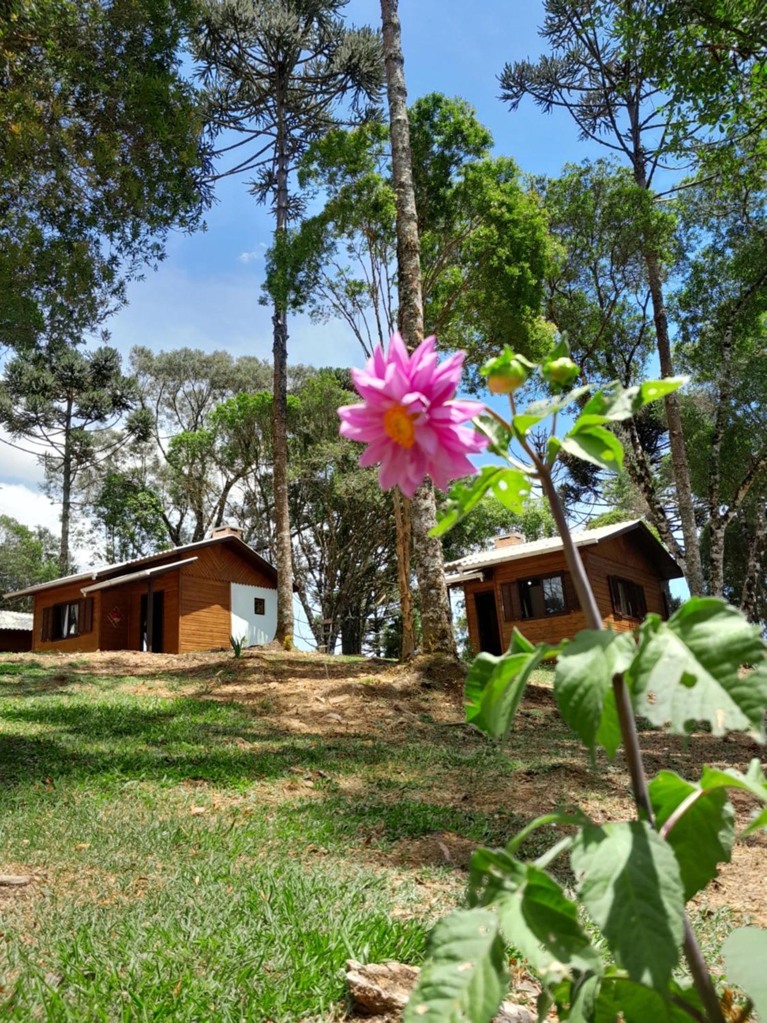 Cabanas Dos Pinheiros São Francisco de Paula 객실 사진