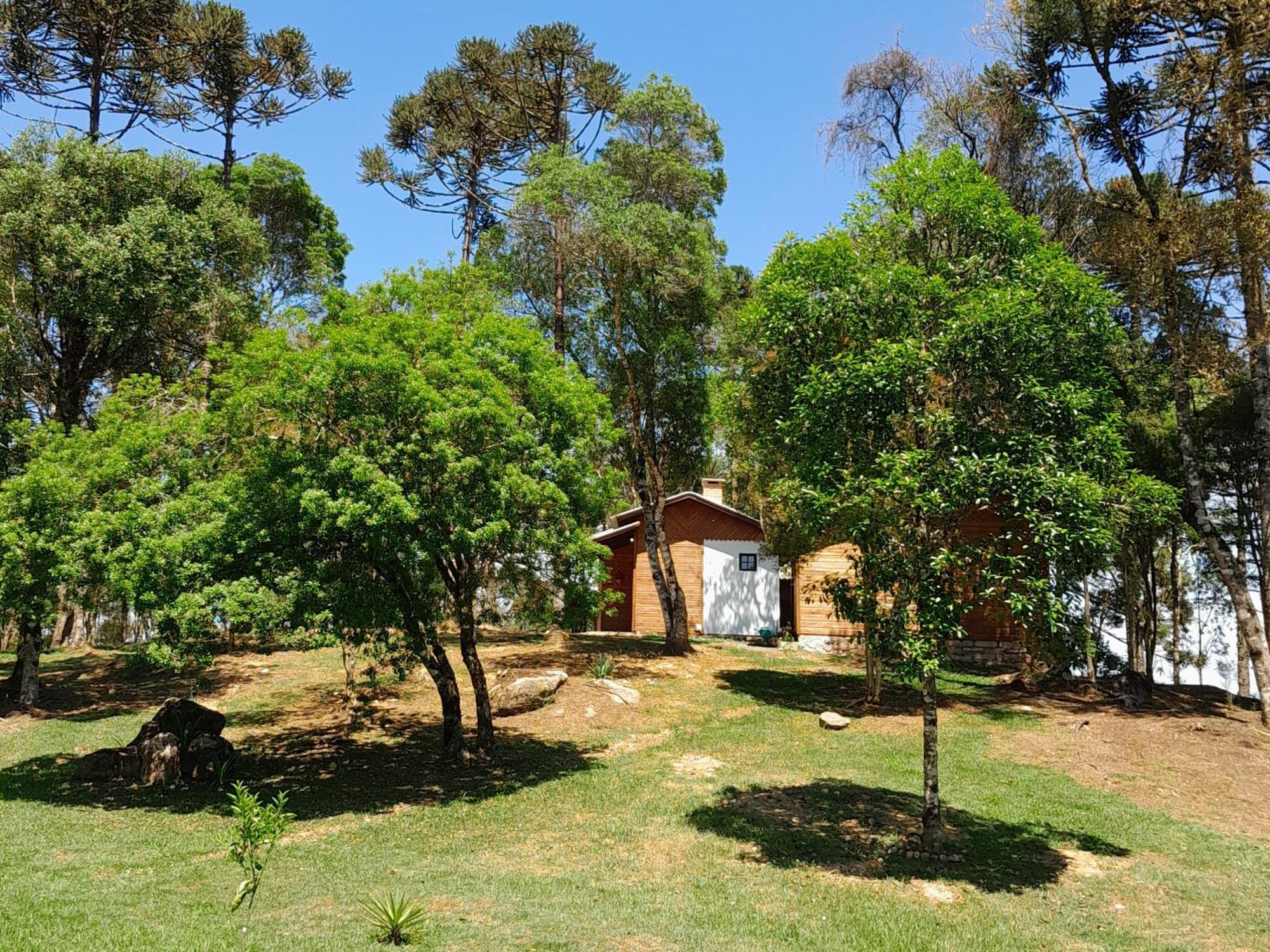 Cabanas Dos Pinheiros São Francisco de Paula 객실 사진